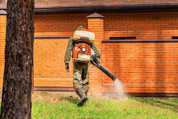Bed Bug Clearance Verification and Documentation in Kirkwood